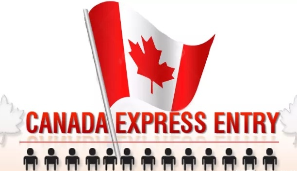 【海外身份】加拿大联邦EE+LMIA50移民成功案例分享
